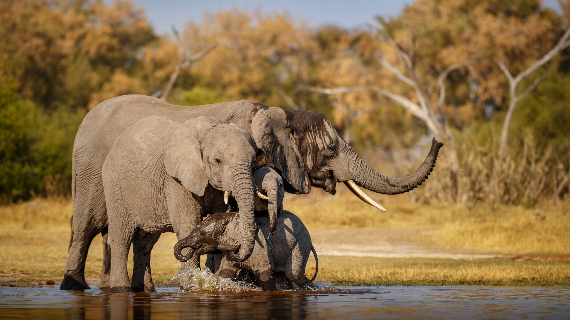 Majete Wildlife Reserve